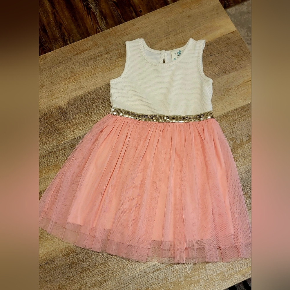 Lily Bleu Girls Tutu Dress Size 5